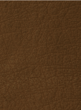 illustrative leather texture