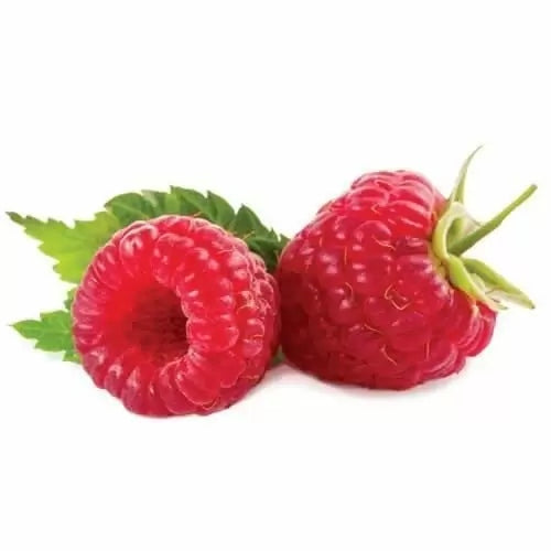 Capella-Raspberry-V2-DIY-Flavoring Capella - Raspberry V2 - DIY Flavoring Concentrate