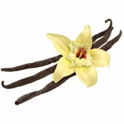 Flavour Art - Vanilla Tahiti - DIY Flavoring Concentrate
